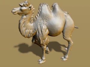 shaggy camel 3D Print Model
