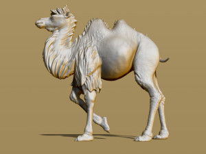 shaggy camel 3D प्रिंट मॉडल