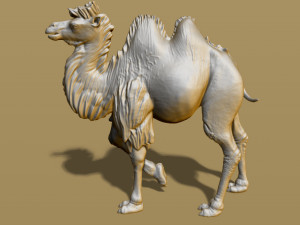 shaggy camel 3D प्रिंट मॉडल