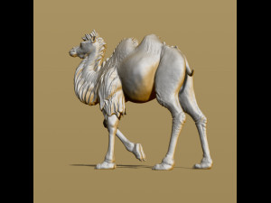 shaggy camel 3D प्रिंट मॉडल