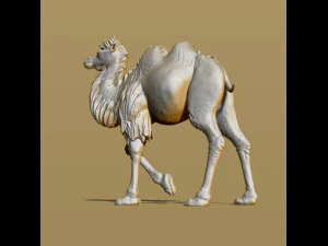 shaggy camel 3D Print Model