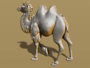 shaggy camel 3D प्रिंट मॉडल