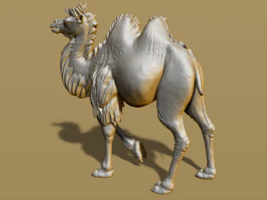 shaggy camel 3D Print Model