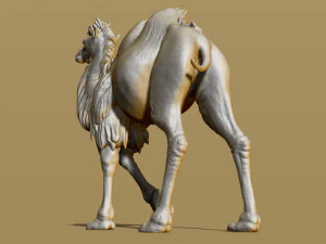 shaggy camel 3D Print Model