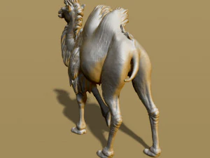 shaggy camel 3D Print Model