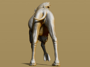 shaggy camel 3D प्रिंट मॉडल