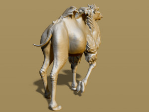 shaggy camel 3D प्रिंट मॉडल