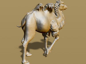 shaggy camel 3D प्रिंट मॉडल
