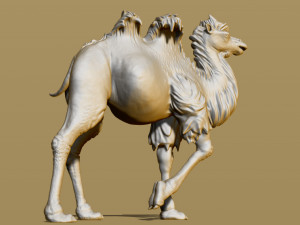 shaggy camel 3D प्रिंट मॉडल