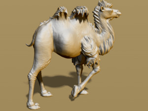shaggy camel 3D प्रिंट मॉडल