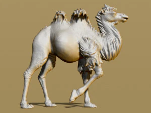 shaggy camel 3D Print Model
