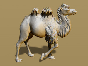 shaggy camel 3D प्रिंट मॉडल