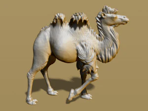 shaggy camel 3D Print Model