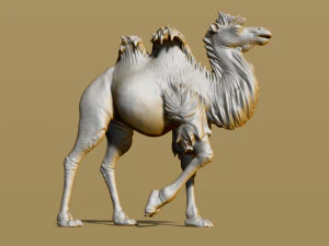 shaggy camel 3D Print Model