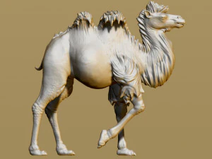 shaggy camel 3D Print Model