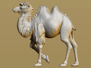 shaggy camel 3D Print Model