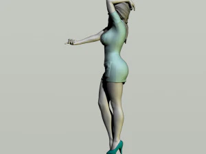 sexy nurse 3D Print Model