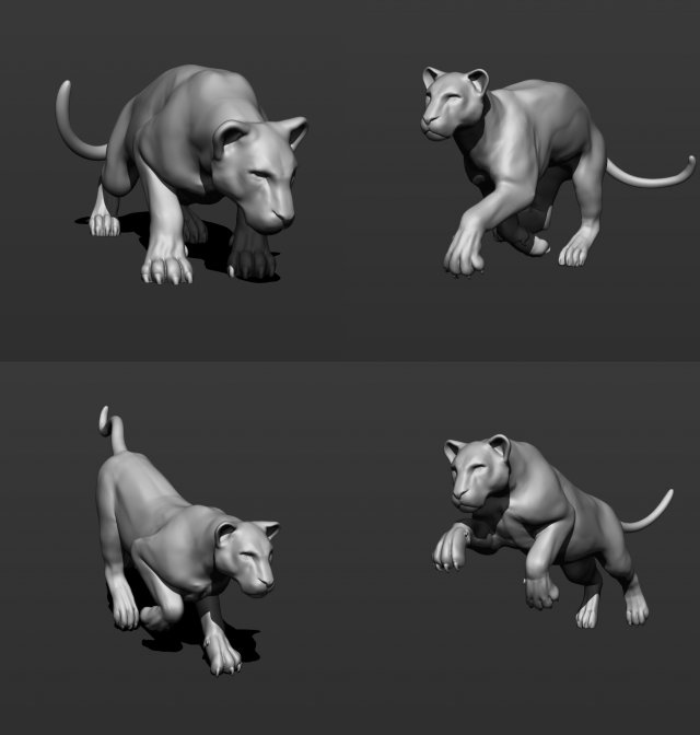 tiger 4 poses 3D-Druckmodell .c4d .max .obj .3ds .fbx .stl .blend 