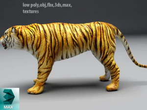tiger 3D Model