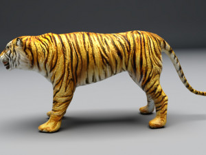 tiger 3D 模型