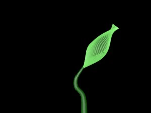 швидко росте квітка 3D Модель