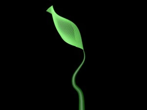 quickly grows the flower 3D Model