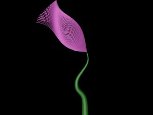 quickly grows the flower 3D Model