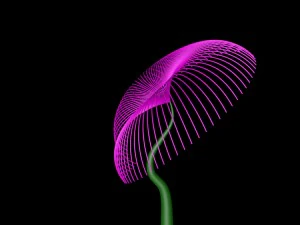 quickly grows the flower 3D Model