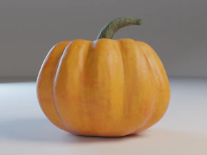 pumpkin 3D Model