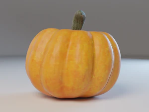 pumpkin 3D Model