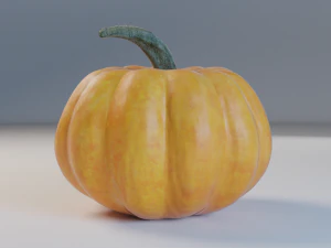 pumpkin 3D Model