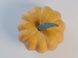 pumpkin 3D Model