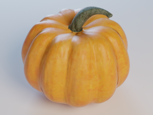 pumpkin 3D Model