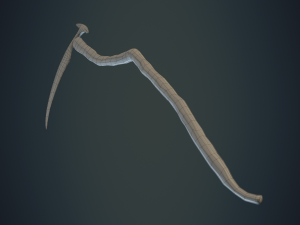 scythe of the reaper Model 3D
