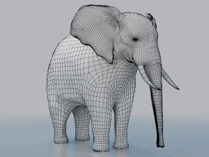 african elephant - loxodonta africana 3D Model