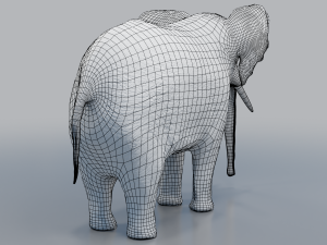 african elephant - loxodonta africana 3D मॉडल