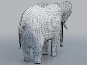 african elephant - loxodonta africana 3D Model