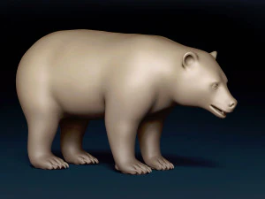 Black Bear Base Mesh 3D Model