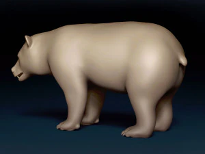 Black Bear Base Mesh 3D Model