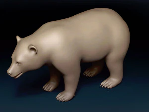 Black Bear Base Mesh 3D Model