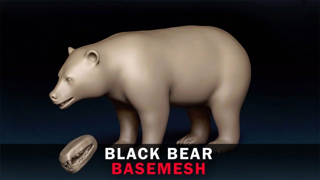 Black Bear Base Mesh Modelo 3D .c4d .max .obj .3ds .fbx .stl .blend 