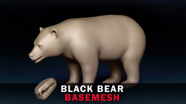 Black Bear Base Mesh 3D Model .c4d .max .obj .3ds .fbx .stl .blend 