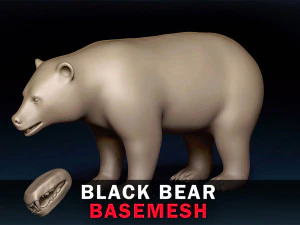Jaring Dasar Beruang Hitam Model 3D