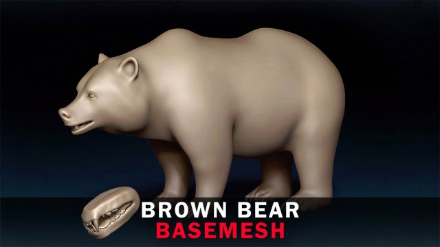 Brown Bear Base Mesh Modelo 3D .c4d .max .obj .3ds .fbx .stl .blend 