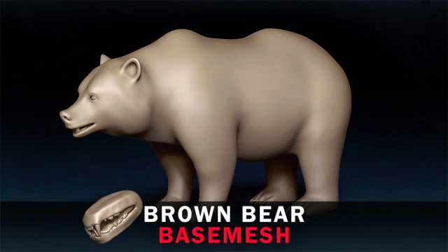 ヒグマベースメッシュ 3Dモデル .c4d .max .obj .3ds .fbx .stl .blend 