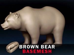 Brown Bear Base Mesh 3D Model