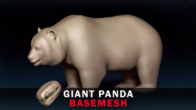 Giant Panda Base Mesh 3D 模型 .c4d .max .obj .3ds .fbx .stl .blend