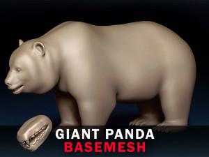 Giant Panda Base Mesh 3D Model