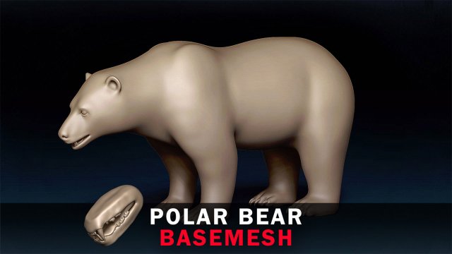 Polar Bear Base Mesh Modelo 3D .c4d .max .obj .3ds .fbx .stl .blend 