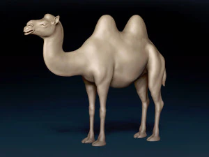 Bactrian Camel Base Mesh 3D Model